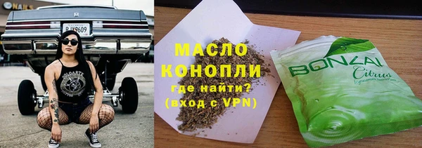 индика Богородицк